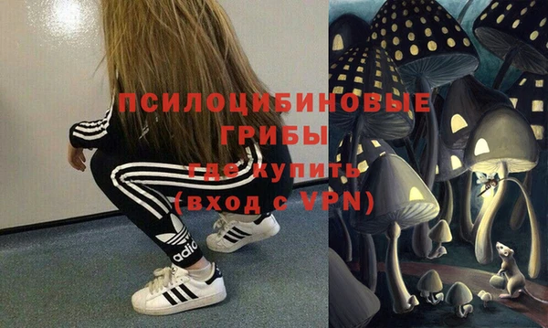 а пвп мука Дмитриев