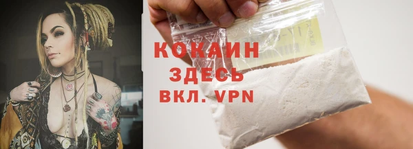 а пвп мука Дмитриев