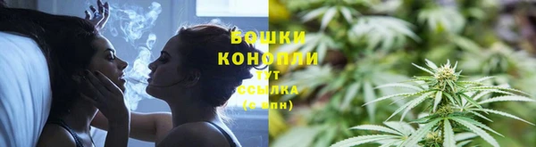 каннабис Дмитров