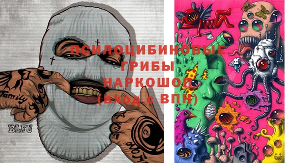 первитин Ельня