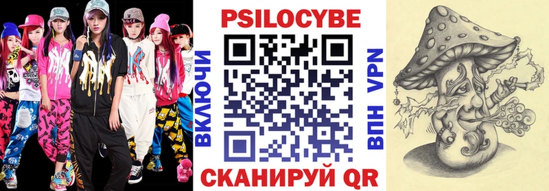 Псилоцибиновые грибы GOLDEN TEACHER  продажа наркотиков  Грайворон 